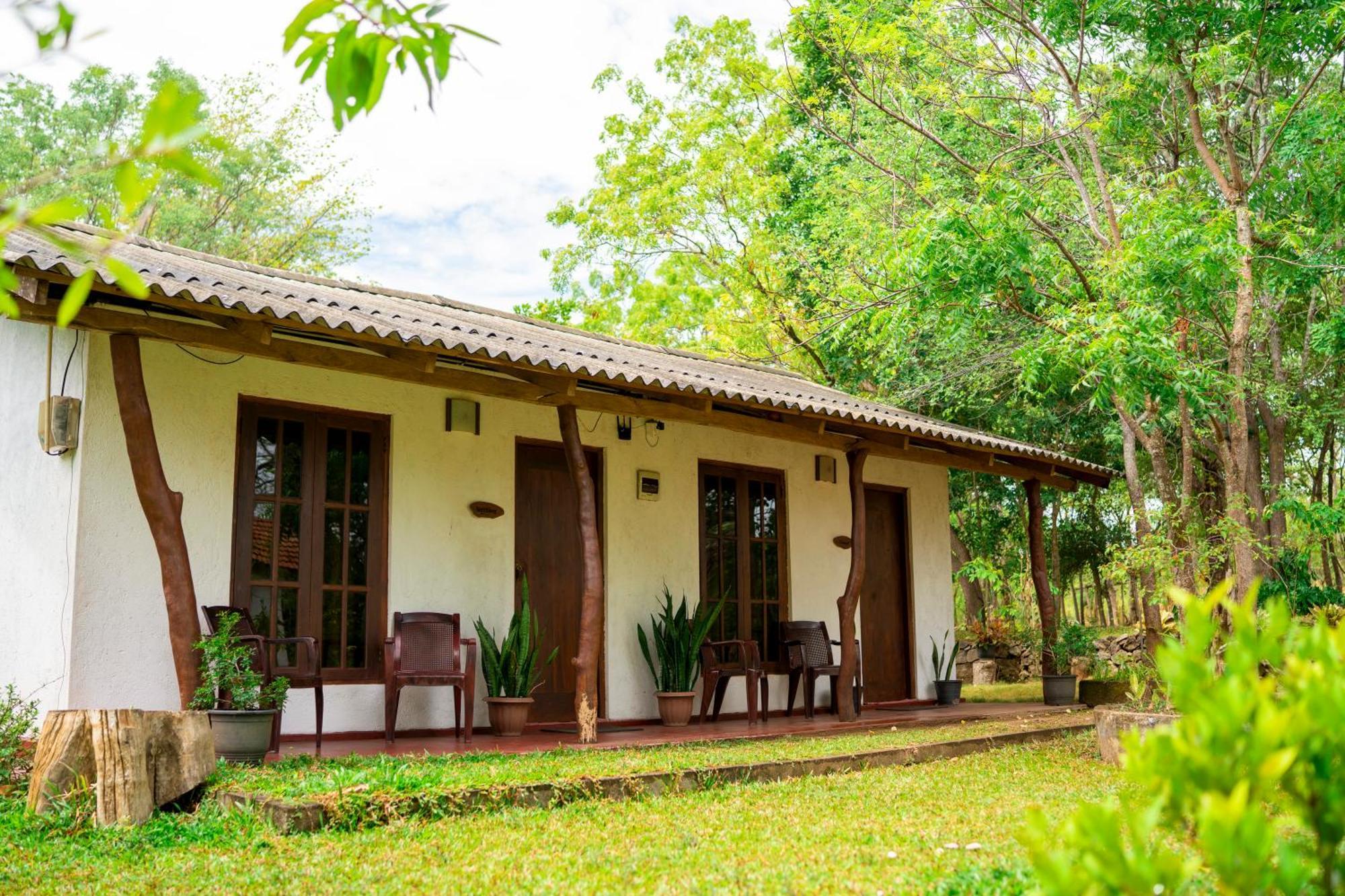 Wild Hut Habarana Bed and Breakfast Exterior foto